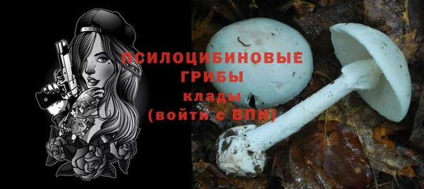 jwh Богородск