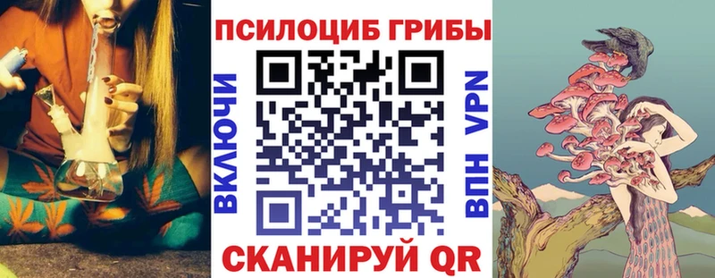 Псилоцибиновые грибы прущие грибы  MEGA ТОР  Чита 